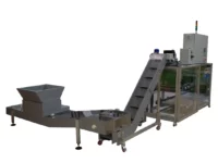 cut out conveyor belt